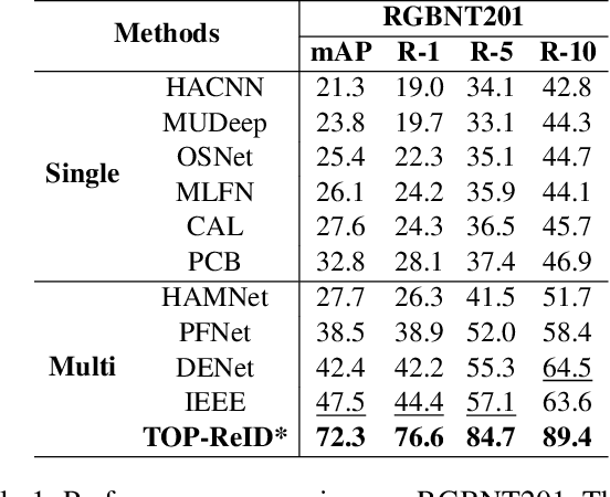 Figure 2 for TOP-ReID: Multi-spectral Object Re-Identification with Token Permutation