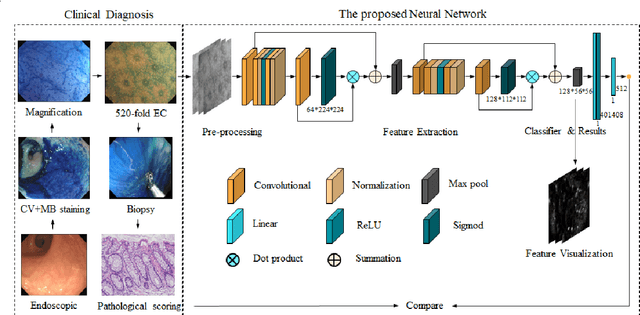 Figure 4 for Neural Network-Based Histologic Remission Prediction In Ulcerative Colitis