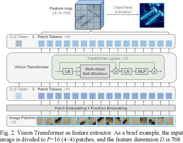 Figure 2 for AnyOKP: One-Shot and Instance-Aware Object Keypoint Extraction with Pretrained ViT