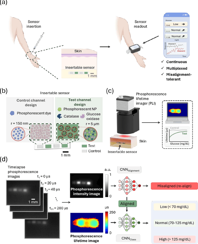 Figure 1 for An insertable glucose sensor using a compact and cost-effective phosphorescence lifetime imager and machine learning