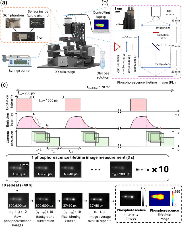 Figure 2 for An insertable glucose sensor using a compact and cost-effective phosphorescence lifetime imager and machine learning