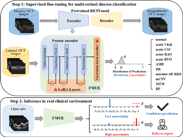 Figure 1 for Enhancing Diagnostic Reliability of Foundation Model with Uncertainty Estimation in OCT Images