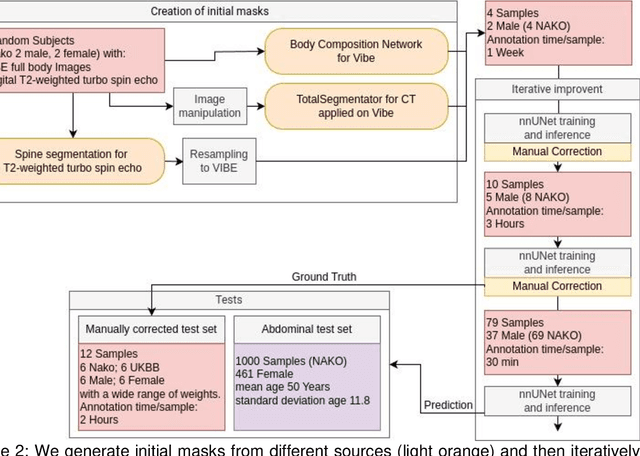 Figure 2 for TotalVibeSegmentator: Full Torso Segmentation for the NAKO and UK Biobank in Volumetric Interpolated Breath-hold Examination Body Images