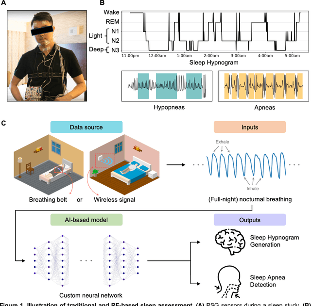 Figure 1 for Contactless Polysomnography: What Radio Waves Tell Us about Sleep
