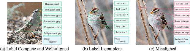 Figure 1 for Semi-supervised Concept Bottleneck Models