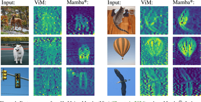 Figure 1 for Mamba-R: Vision Mamba ALSO Needs Registers