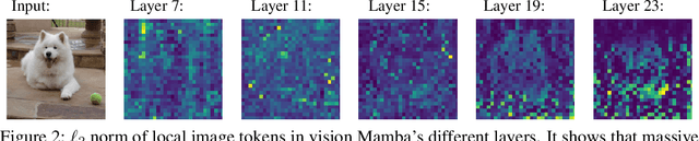 Figure 3 for Mamba-R: Vision Mamba ALSO Needs Registers