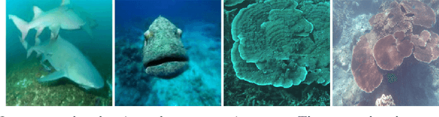 Figure 3 for UW-CVGAN: UnderWater Image Enhancement with Capsules Vectors Quantization