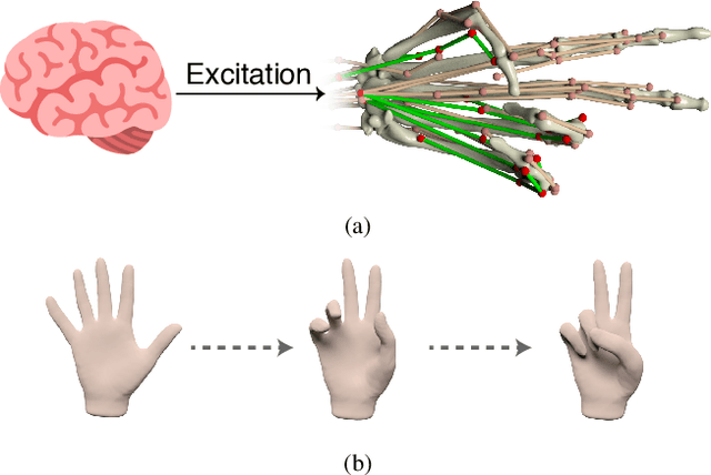 Figure 1 for MS-MANO: Enabling Hand Pose Tracking with Biomechanical Constraints
