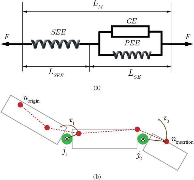 Figure 3 for MS-MANO: Enabling Hand Pose Tracking with Biomechanical Constraints