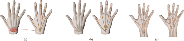Figure 4 for MS-MANO: Enabling Hand Pose Tracking with Biomechanical Constraints