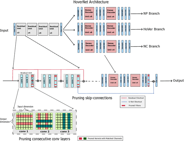Figure 1 for Structured Model Pruning for Efficient Inference in Computational Pathology