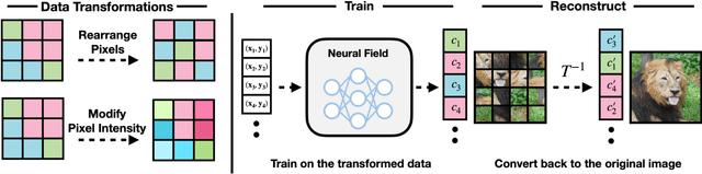 Figure 1 for In Search of a Data Transformation That Accelerates Neural Field Training