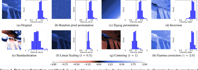 Figure 3 for In Search of a Data Transformation That Accelerates Neural Field Training