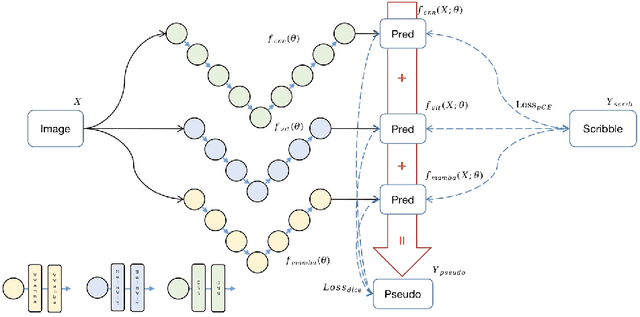 Figure 3 for Weak-Mamba-UNet: Visual Mamba Makes CNN and ViT Work Better for Scribble-based Medical Image Segmentation