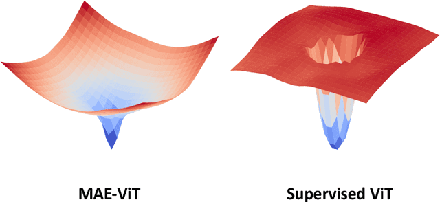 Figure 1 for Visualizing the loss landscape of Self-supervised Vision Transformer