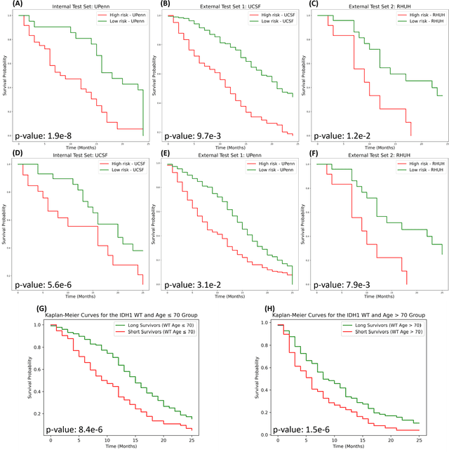 Figure 4 for Comprehensive Multimodal Deep Learning Survival Prediction Enabled by a Transformer Architecture: A Multicenter Study in Glioblastoma