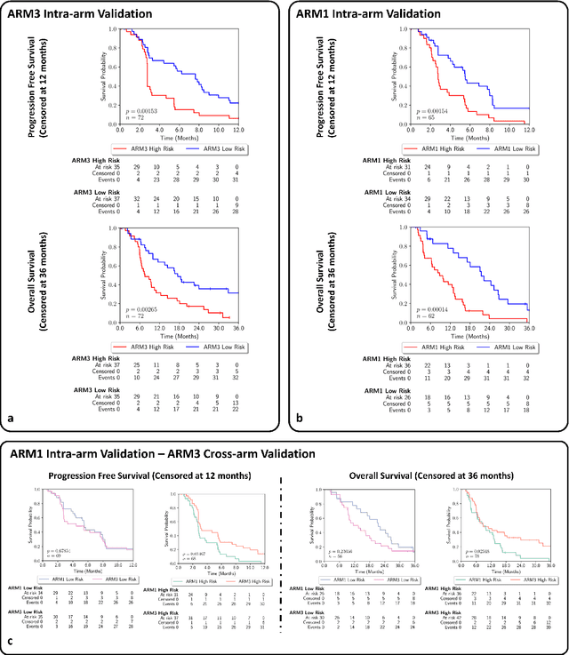 Figure 4 for An AI based Digital Score of Tumour-Immune Microenvironment Predicts Benefit to Maintenance Immunotherapy in Advanced Oesophagogastric Adenocarcinoma