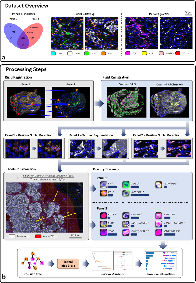 Figure 1 for An AI based Digital Score of Tumour-Immune Microenvironment Predicts Benefit to Maintenance Immunotherapy in Advanced Oesophagogastric Adenocarcinoma