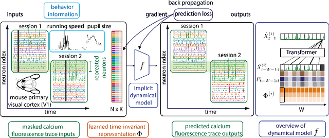 Figure 1 for Learning Time-Invariant Representations for Individual Neurons from Population Dynamics