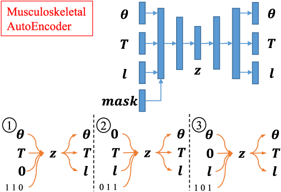 Figure 3 for Musculoskeletal AutoEncoder: A Unified Online Acquisition Method of Intersensory Networks for State Estimation, Control, and Simulation of Musculoskeletal Humanoids