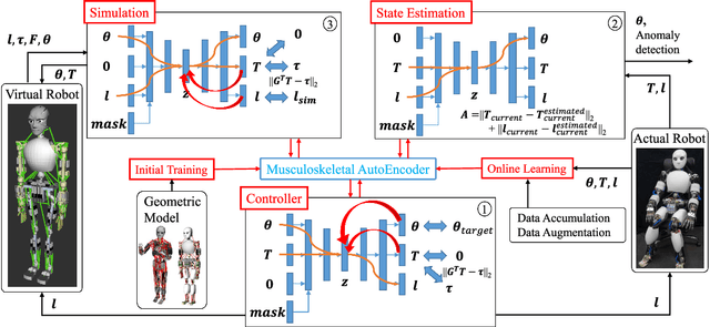 Figure 4 for Musculoskeletal AutoEncoder: A Unified Online Acquisition Method of Intersensory Networks for State Estimation, Control, and Simulation of Musculoskeletal Humanoids