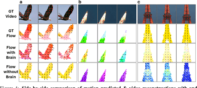 Figure 4 for Neural Representations of Dynamic Visual Stimuli