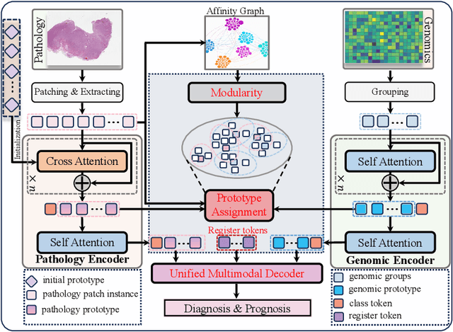 Figure 3 for Unified Modeling Enhanced Multimodal Learning for Precision Neuro-Oncology