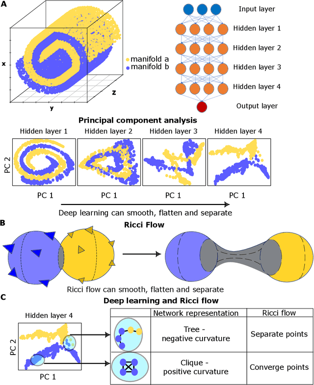 Figure 1 for Deep Learning as Ricci Flow