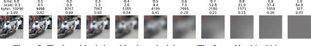 Figure 4 for Robust Classification by Coupling Data Mollification with Label Smoothing