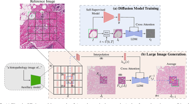 Figure 3 for Learned representation-guided diffusion models for large-image generation