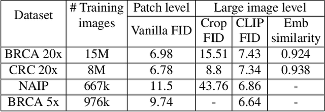 Figure 2 for Learned representation-guided diffusion models for large-image generation