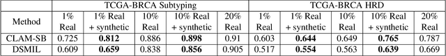 Figure 4 for Learned representation-guided diffusion models for large-image generation