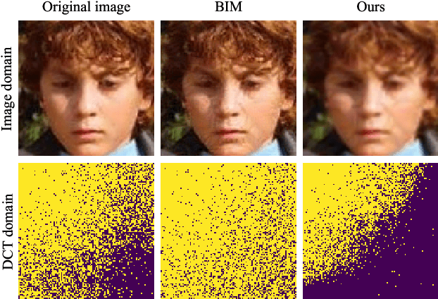 Figure 3 for Improving the JPEG-resistance of Adversarial Attacks on Face Recognition by Interpolation Smoothing