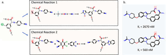 Figure 1 for Contextual Molecule Representation Learning from Chemical Reaction Knowledge