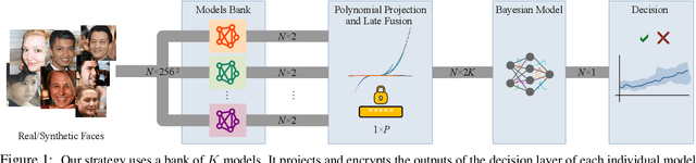 Figure 1 for Detecting Face Synthesis Using a Concealed Fusion Model