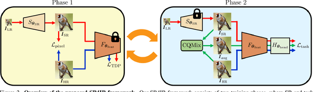 Figure 3 for Beyond Image Super-Resolution for Image Recognition with Task-Driven Perceptual Loss