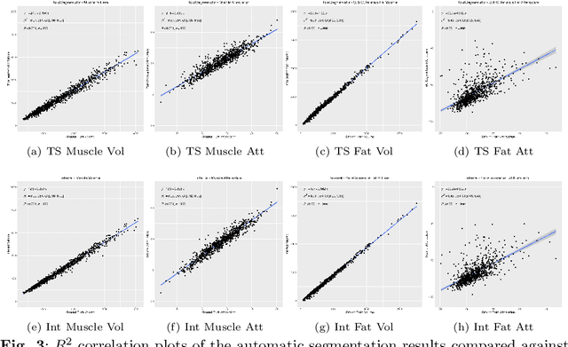 Figure 4 for Enhanced Muscle and Fat Segmentation for CT-Based Body Composition Analysis: A Comparative Study