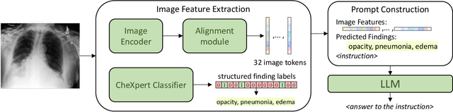 Figure 3 for RaDialog: A Large Vision-Language Model for Radiology Report Generation and Conversational Assistance