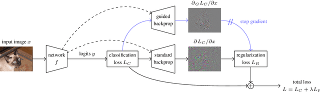 Figure 1 for A Learning Paradigm for Interpretable Gradients