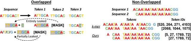 Figure 1 for DNABERT-2: Efficient Foundation Model and Benchmark For Multi-Species Genome