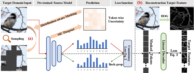Figure 3 for Adaptive Distribution Masked Autoencoders for Continual Test-Time Adaptation