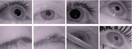 Figure 2 for 3ET: Efficient Event-based Eye Tracking using a Change-Based ConvLSTM Network