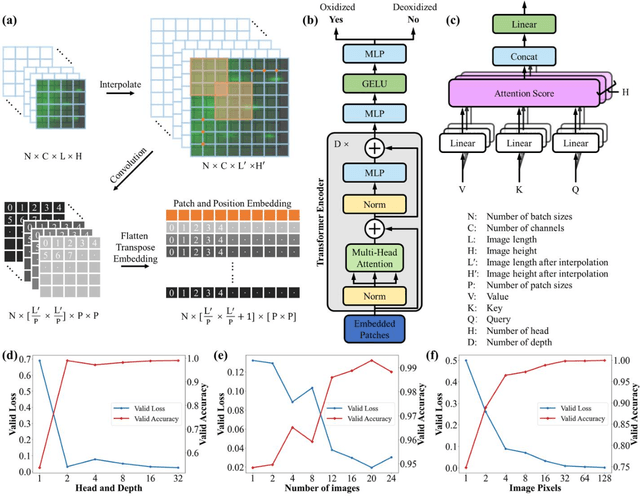 Figure 2 for Universal Deoxidation of Semiconductor Substrates Assisted by Machine-Learning and Real-Time-Feedback-Control