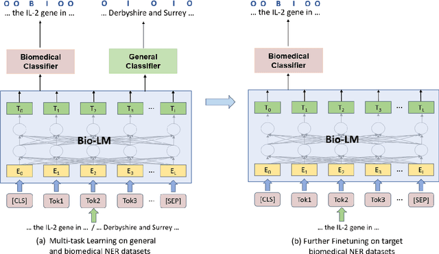 Figure 4 for Augmenting Biomedical Named Entity Recognition with General-domain Resources