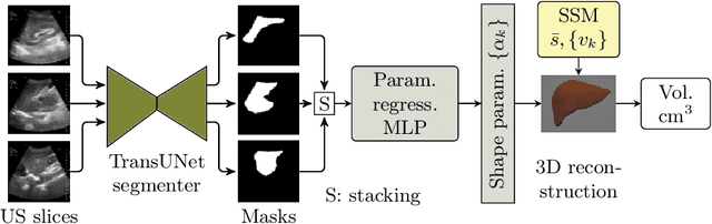 Figure 1 for LiverUSRecon: Automatic 3D Reconstruction and Volumetry of the Liver with a Few Partial Ultrasound Scans