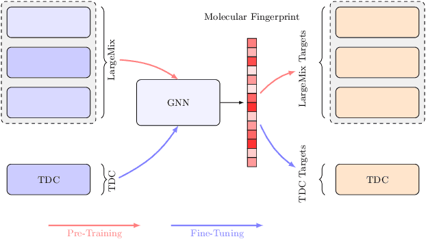 Figure 1 for $\texttt{MiniMol}$: A Parameter-Efficient Foundation Model for Molecular Learning