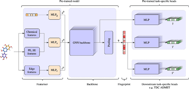 Figure 3 for $\texttt{MiniMol}$: A Parameter-Efficient Foundation Model for Molecular Learning