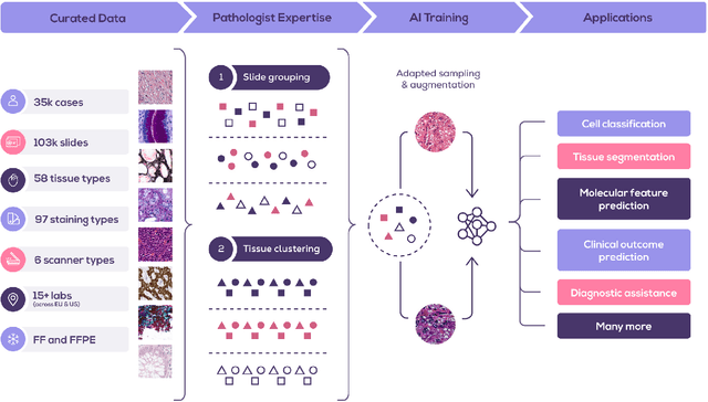 Figure 1 for RudolfV: A Foundation Model by Pathologists for Pathologists