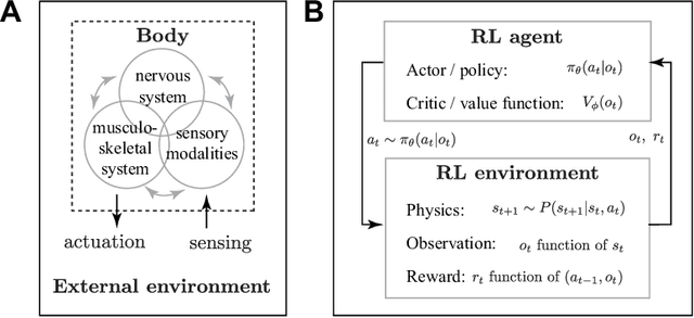Figure 1 for Deep Dive into Model-free Reinforcement Learning for Biological and Robotic Systems: Theory and Practice